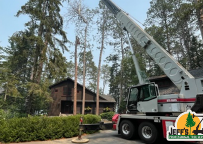 Tree Removal with a Crane
