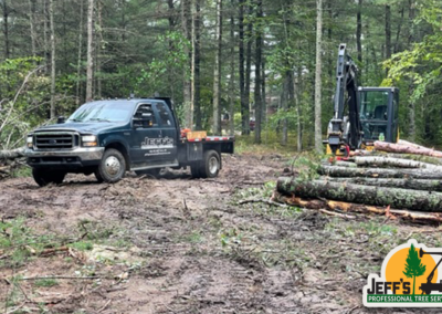 Lot Clearing For a New Cabin