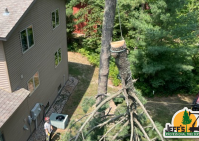 Hanging A Tree Top